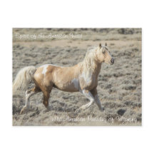 Spirit of the American West - Carte postale