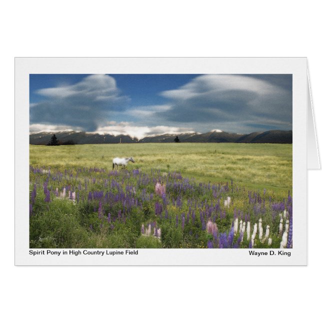 Spirit Pony dans High Country Lupine Field (Devant horizontal)