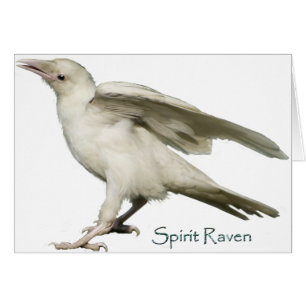 Spirit Raven II Series