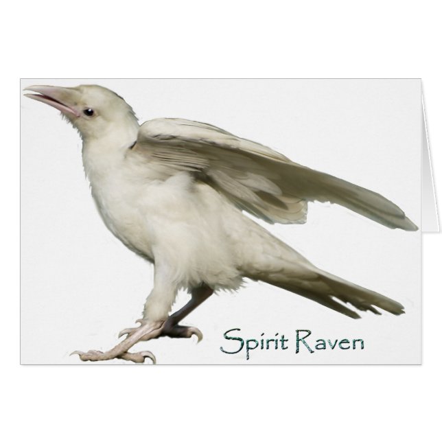 Spirit Raven II Series (Devant horizontal)