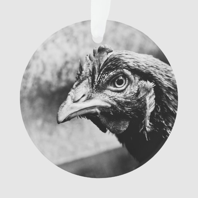 spiritueux et poulets (devant)