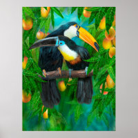 Spiritueux tropicaux - Toucans Poster d'art/Imprim