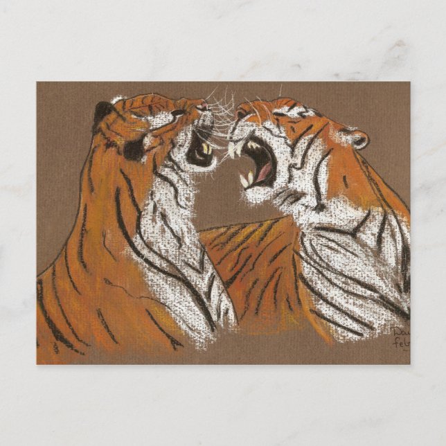 Spitting Mad Tigers - carte postale (Devant)