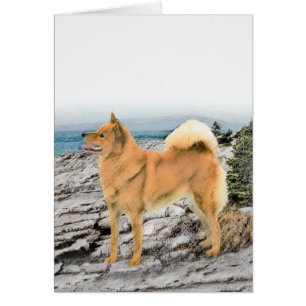 Spitz finlandais à Seashore Peinture - Chien Art