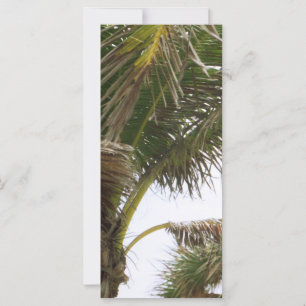 Splendeur tropicale