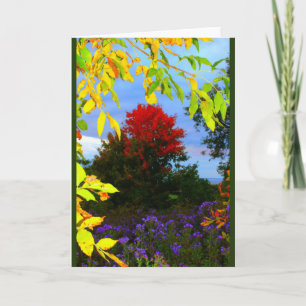 Splendor Automne Toute Carte D'Occasion