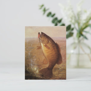 Sports vintages Pêche, Poisson Brown à grande bouc