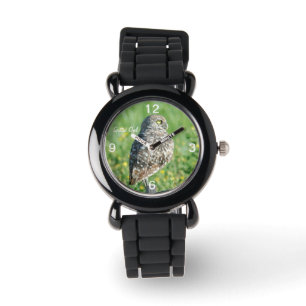 Spotted creusant la montre de hibou