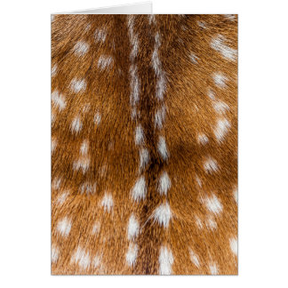 Spotted deer pour texture