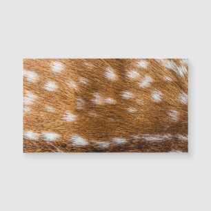 Spotted deer pour texture