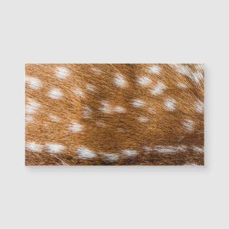 Spotted deer pour texture