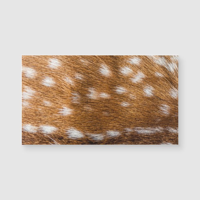 Spotted deer pour texture (Devant)