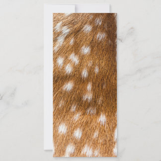 Spotted deer pour texture