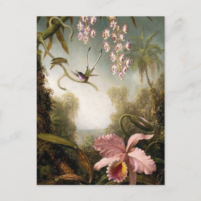 Spray Orchidées avec carte postale de colibri (Devant)