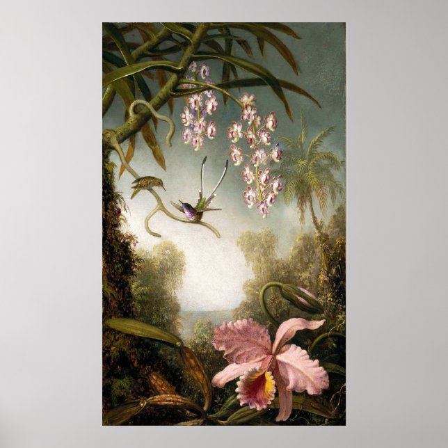 Spray Orchids with Hummingbird Poster (Devant)
