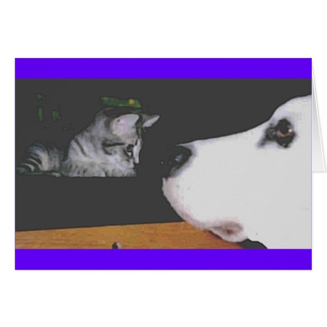 Spree&Kichou (Devant horizontal)