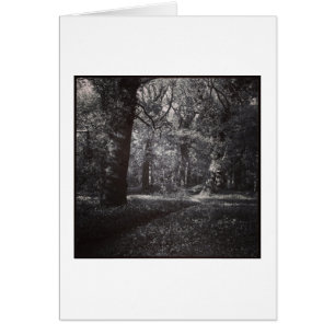 Spring Bute Park, Cardiff, Pays de Galles