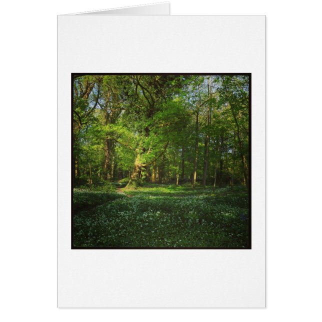 Spring Bute Park, Cardiff, Pays de Galles (Devant)