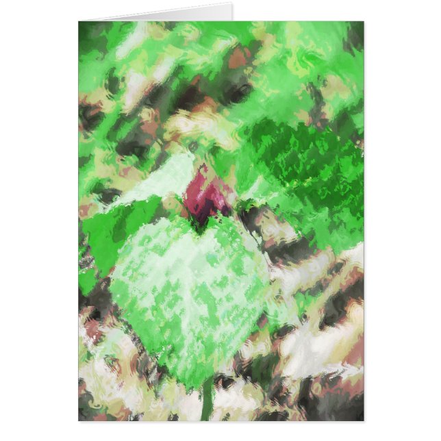 Spring Trillium WildflowerToutes les occasions sal (Devant)