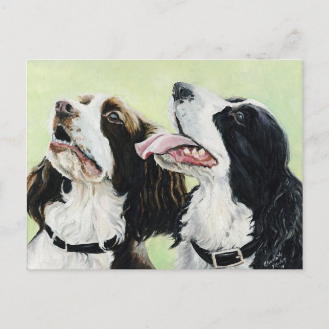 Springer lance la carte postale originale (Devant)