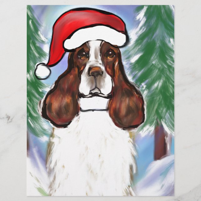 SPRINGER SPANIEL ANGLAIS (Devant)