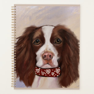 SPRINGER SPANIEL ANGLAIS