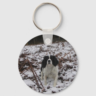 Springer spaniel, porte-clés