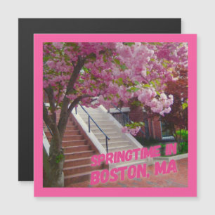 Springtime à Boston, MA