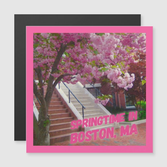 Springtime à Boston, MA (Devant / Derrière)