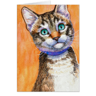 Sprite Tabby Cat
