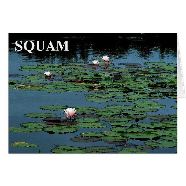 Squam Lake Lilies (Devant horizontal)