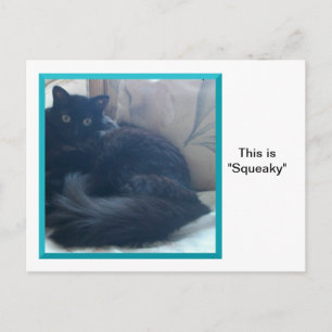 Squeaky sur une carte postale