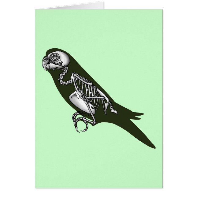 Squelette de Budgie (Devant)