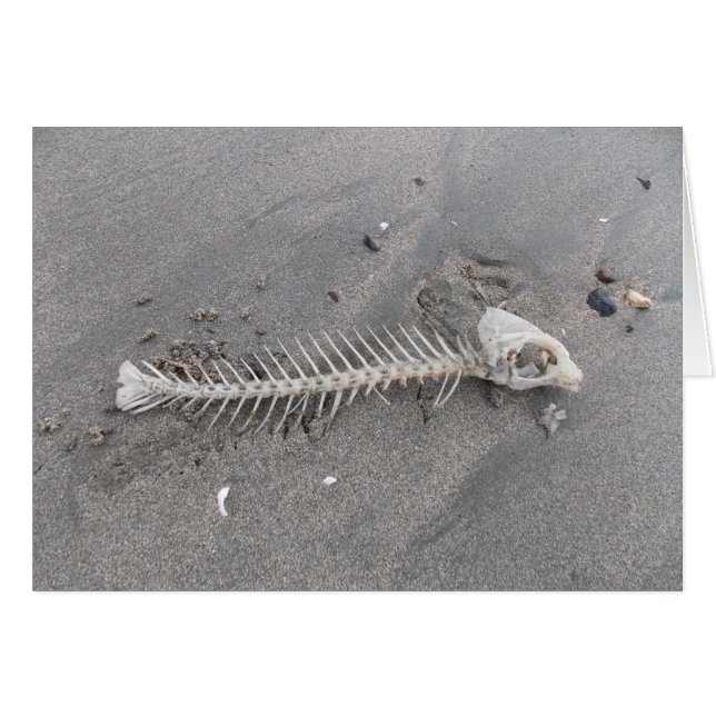 Squelette de plage (Devant Horizontal)