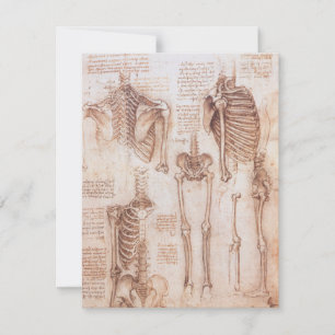 Squelette des os de l'anatomie humaine de Léonard