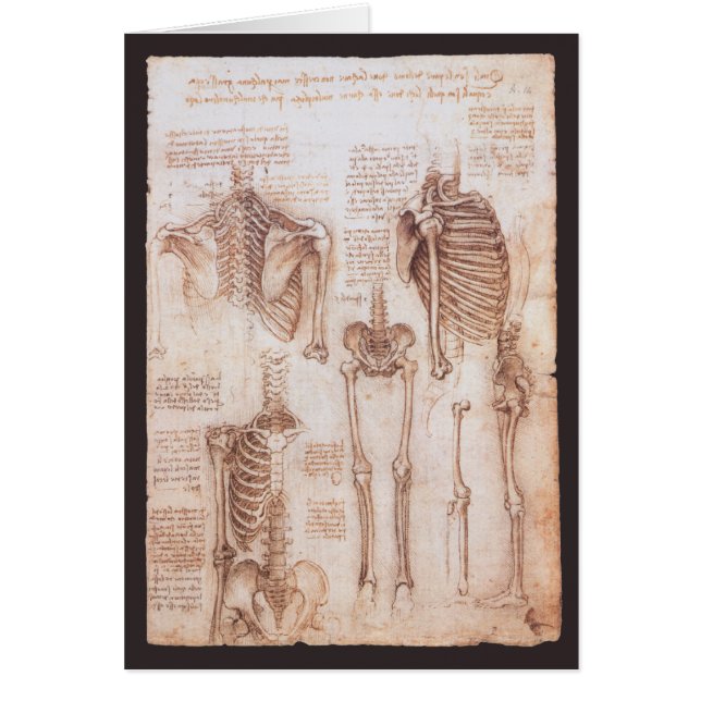 Squelette des os de l'anatomie humaine de Léonard  (Devant)