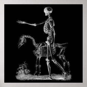 Squelette et cheval Affiche de décoration Hallowee