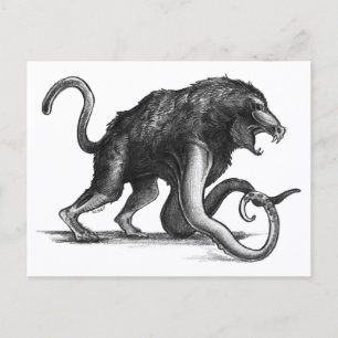 Squiboon - Carte postale