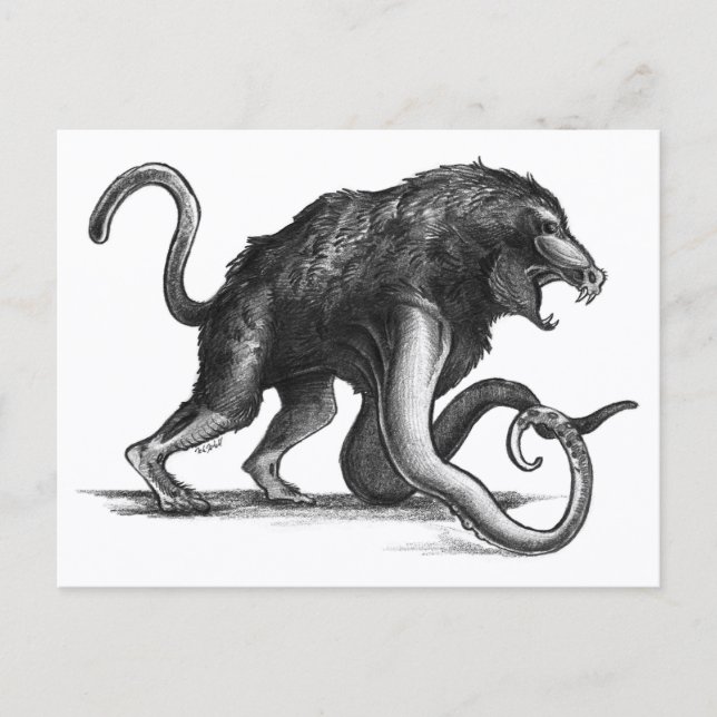 Squiboon - Carte postale (Devant)