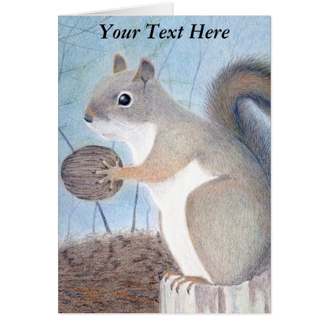 Squirrel (Devant)