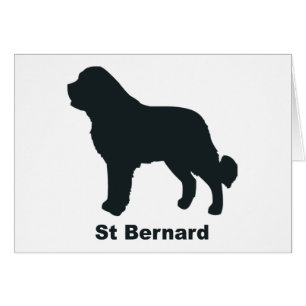 St Bernard