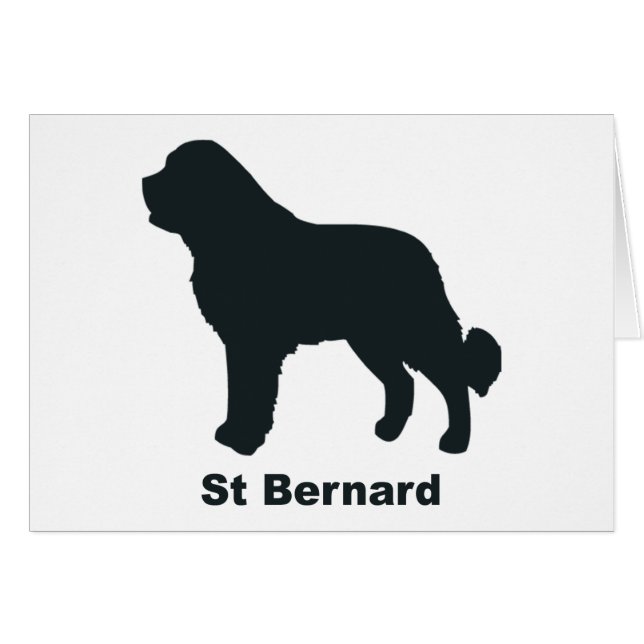 St Bernard (Devant horizontal)