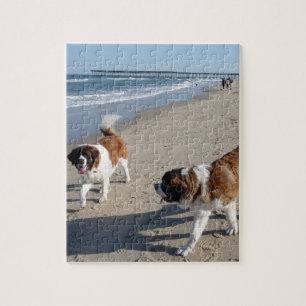 St. Bernard au puzzle de la plage