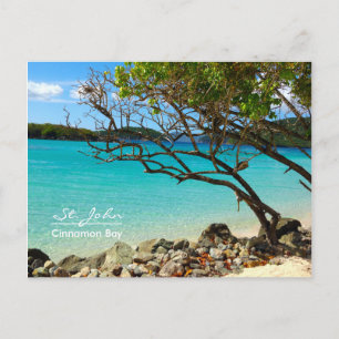 St. John USVI Cinnamon Bay Beach Carte postale