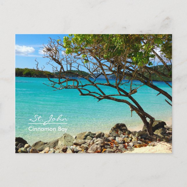 St. John USVI Cinnamon Bay Beach Carte postale (Devant)