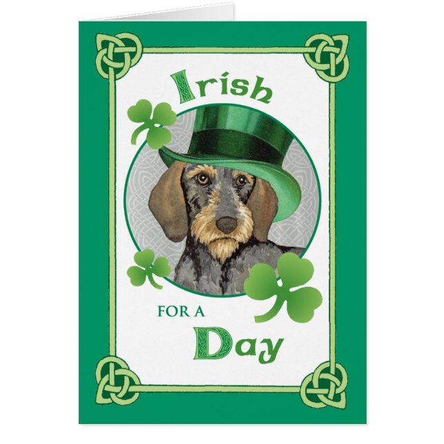 St. Patrick's Day À poils durs Dachshund (Devant)