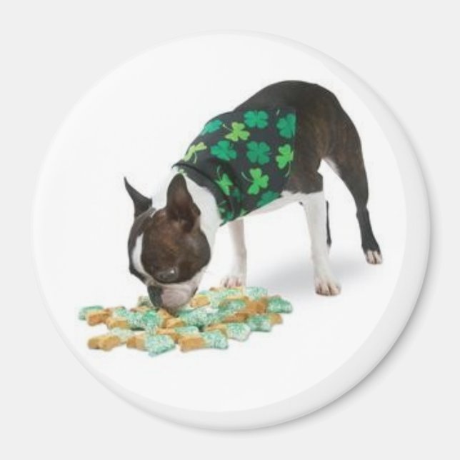 St. Patrick's Day Boston Terrier Magnet (Devant)