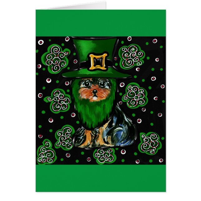 St. Patty Yorkie Poo (Devant)