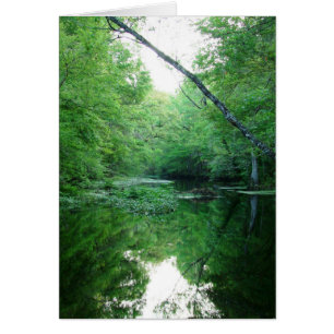 St Rivière de marques