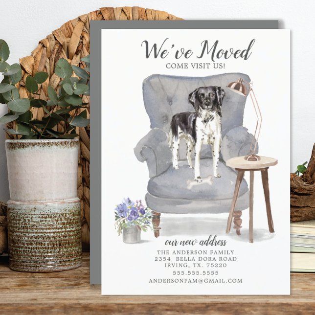 Stabyhoun | Faire-part de déplacement (Créateur téléchargé)